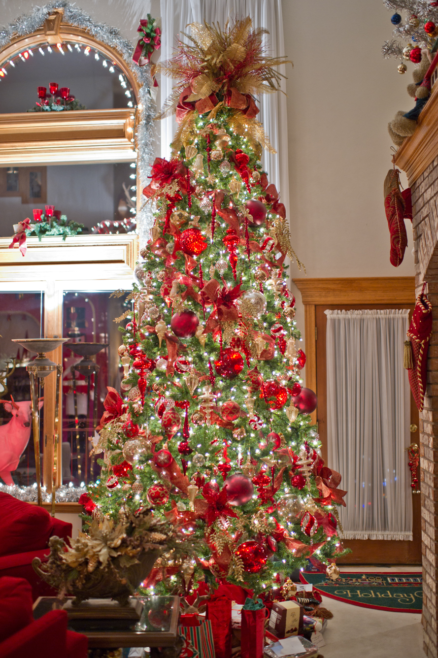 Shalynne Imaging Christmas House