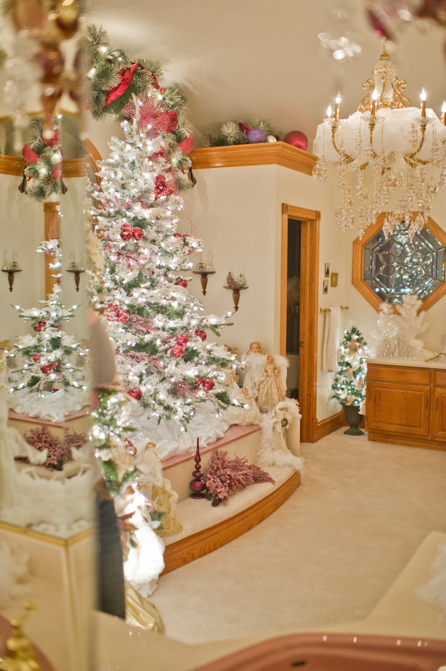 Shalynne Imaging Christmas House