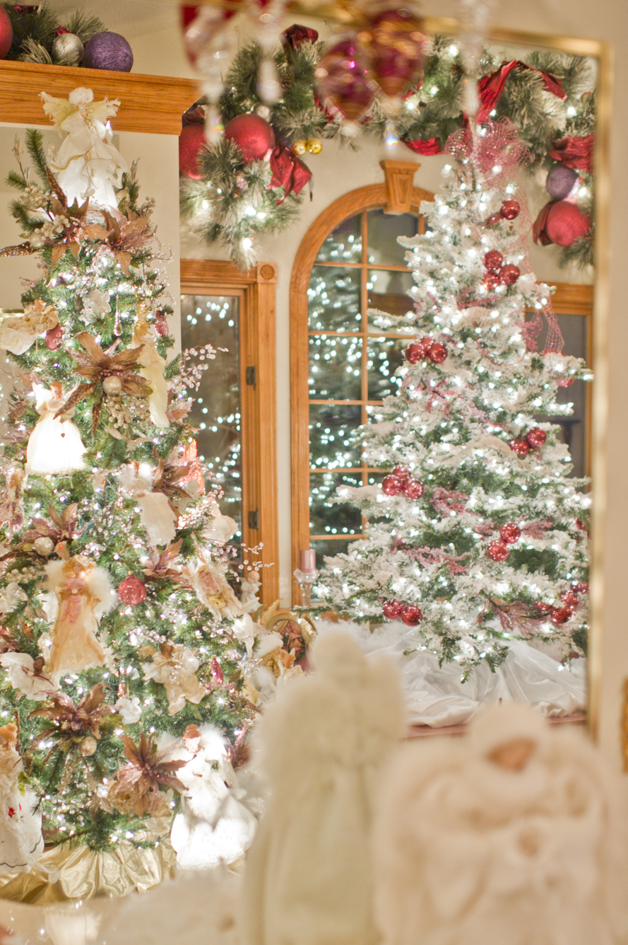 Shalynne Imaging Christmas House