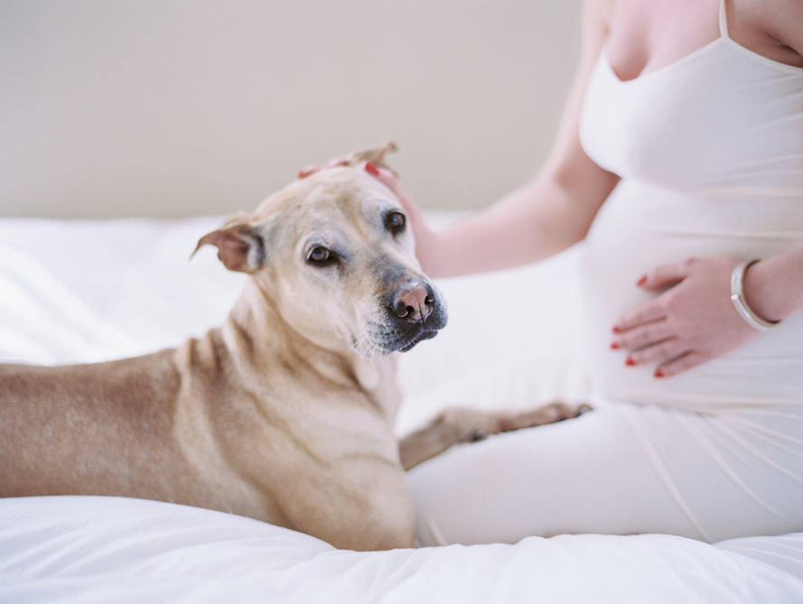 Shalynne Imaging - Megan Maternity