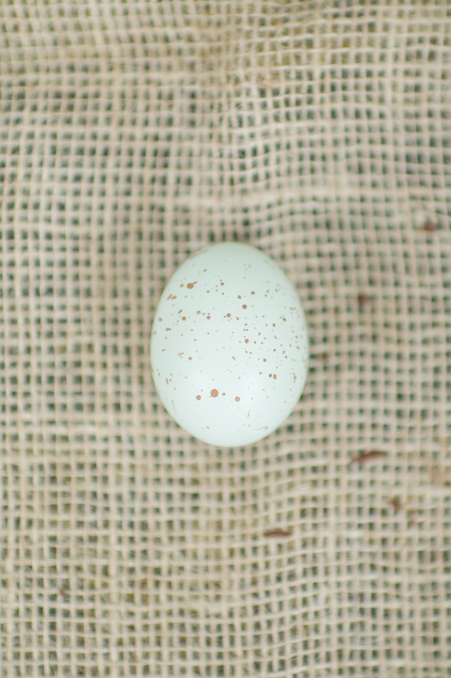 Shalynne Imaging Speckled Eggs DIY Tutorial