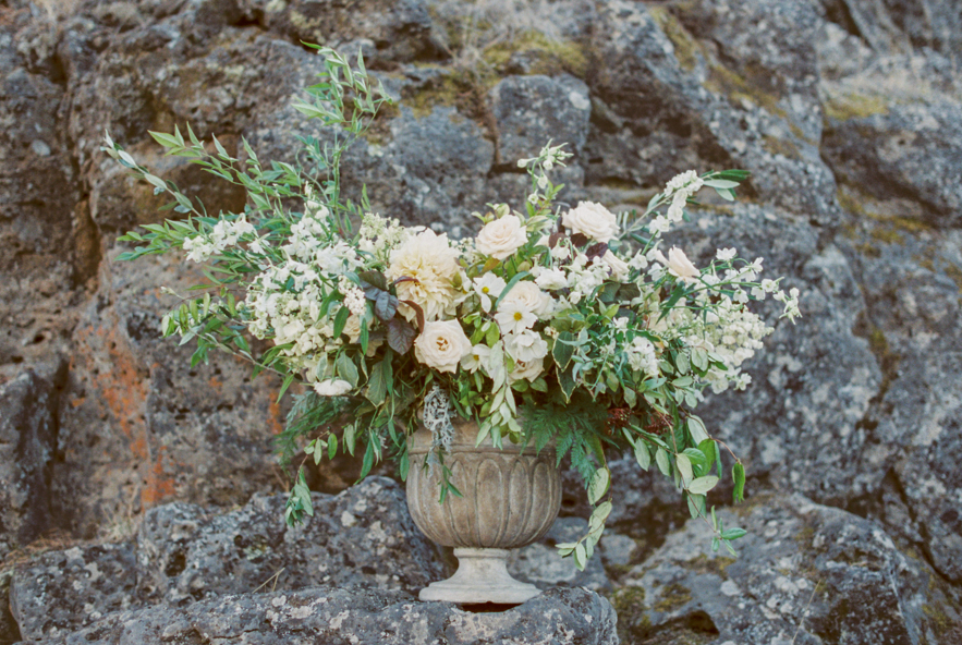 Shalynne Imaging -  Wind Couple