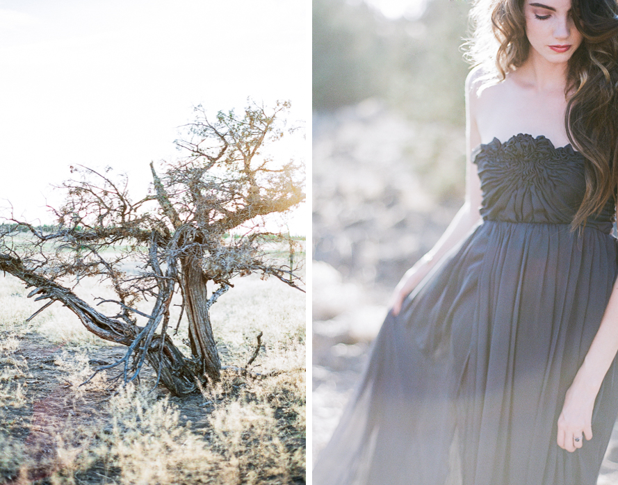 Shannon Von Eschen Photography
