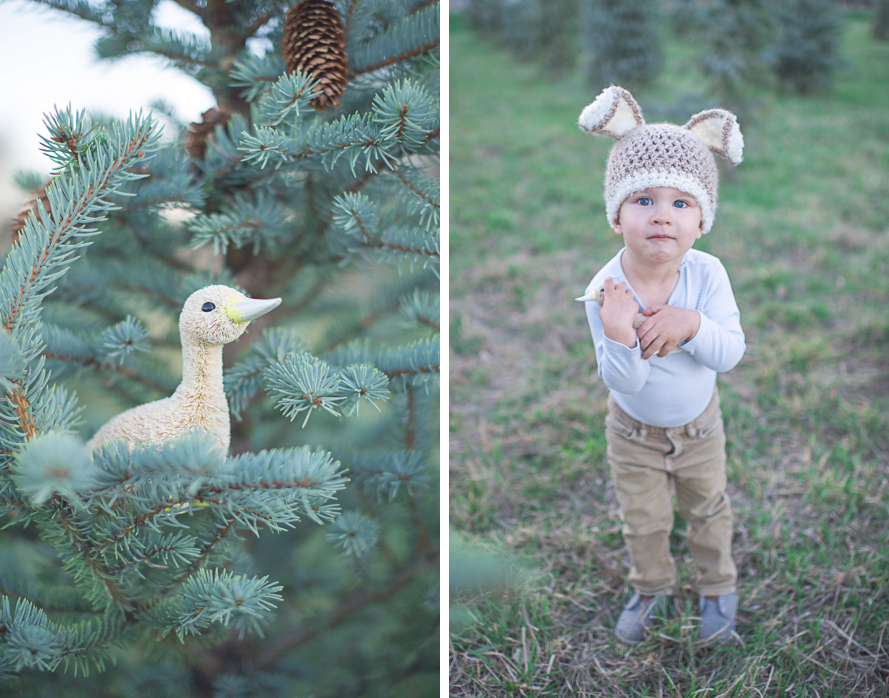 Shannon Von Eschen Photography