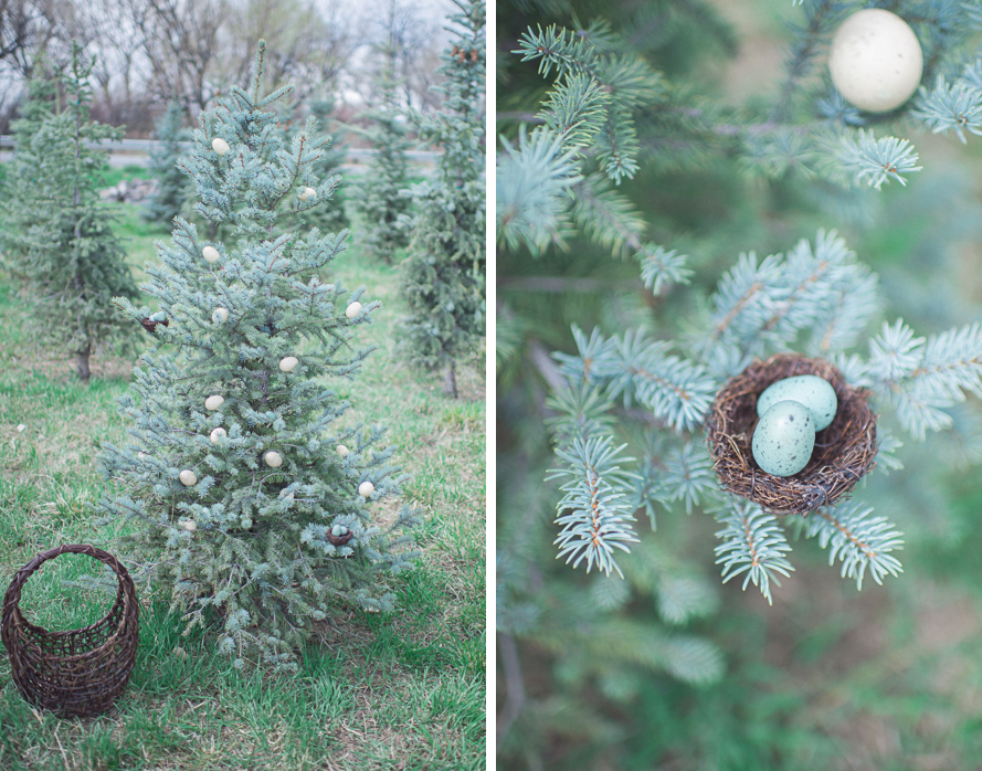 Shannon Von Eschen Photography