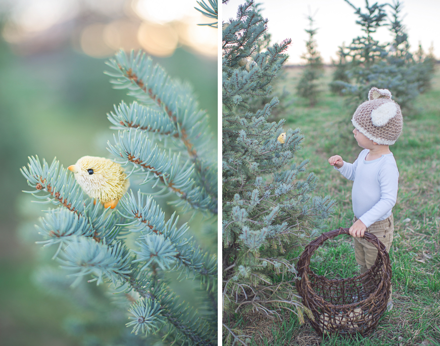 Shannon Von Eschen Photography