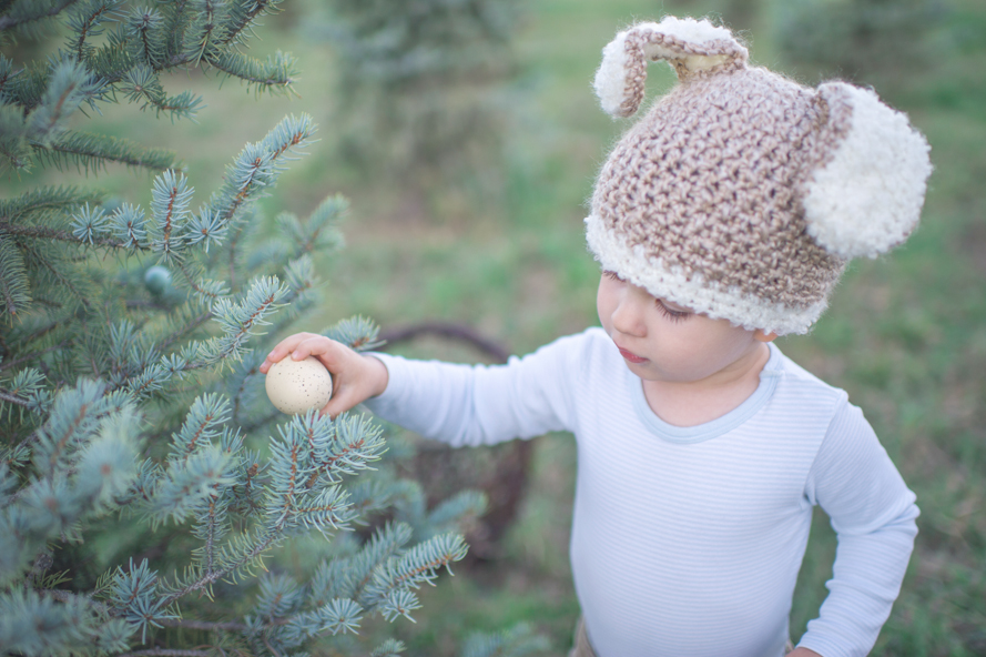 Shannon Von Eschen Photography