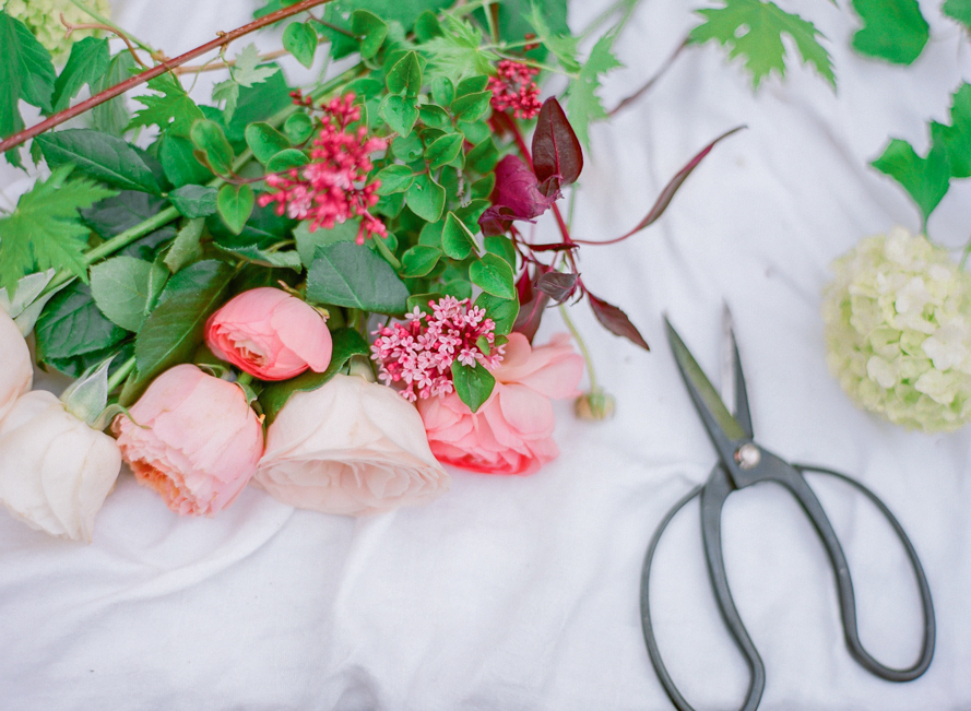 Shannon Von Eschen Photography Shannon Von Eschen Photography