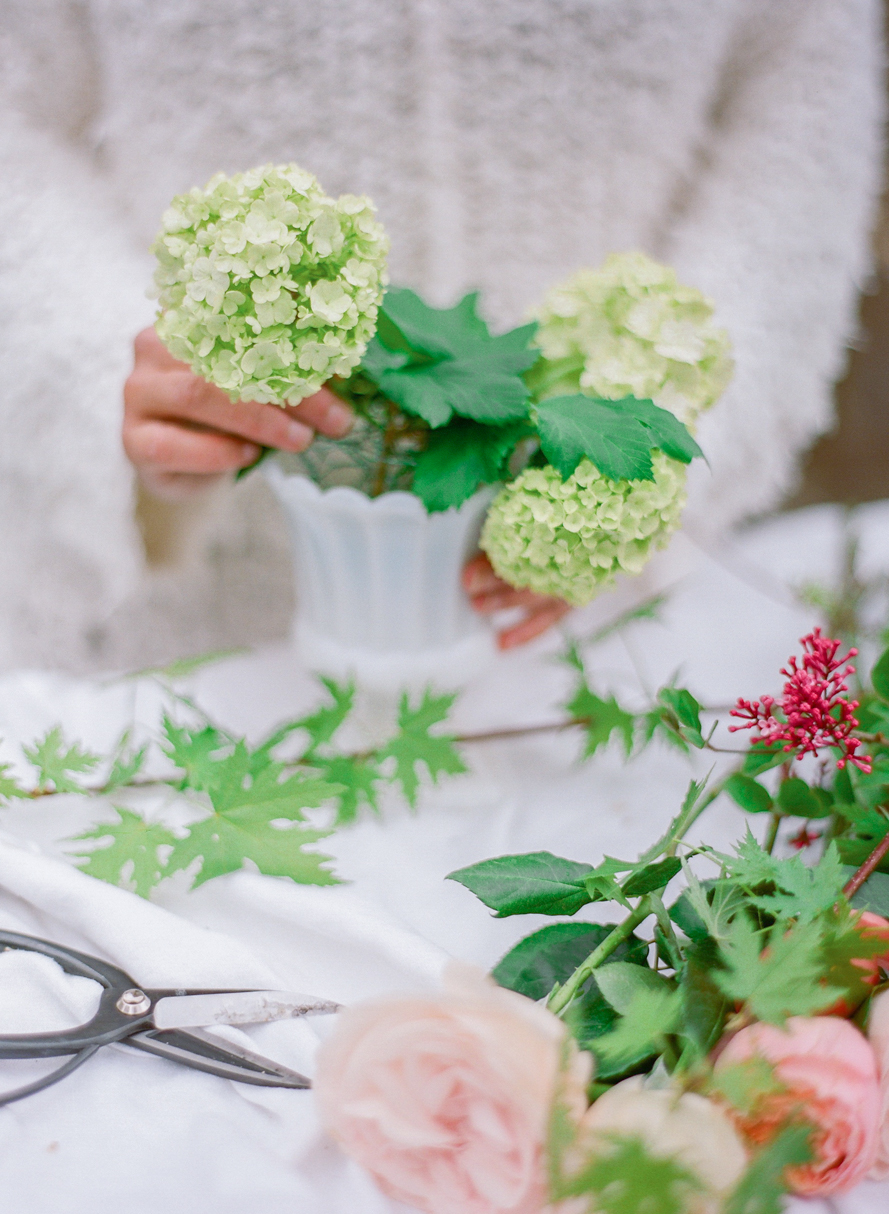 Shannon Von Eschen Photography Shannon Von Eschen Photography