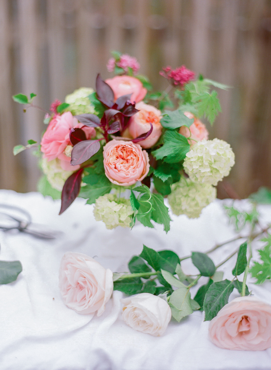 Shannon Von Eschen Photography Shannon Von Eschen Photography