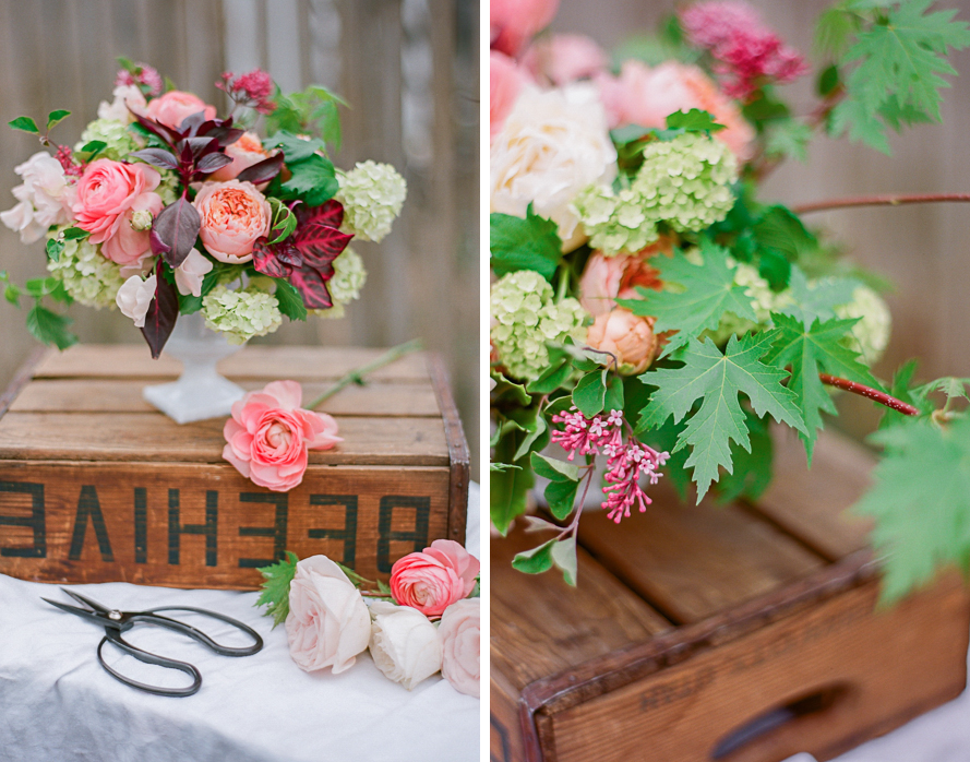 Shannon Von Eschen Photography