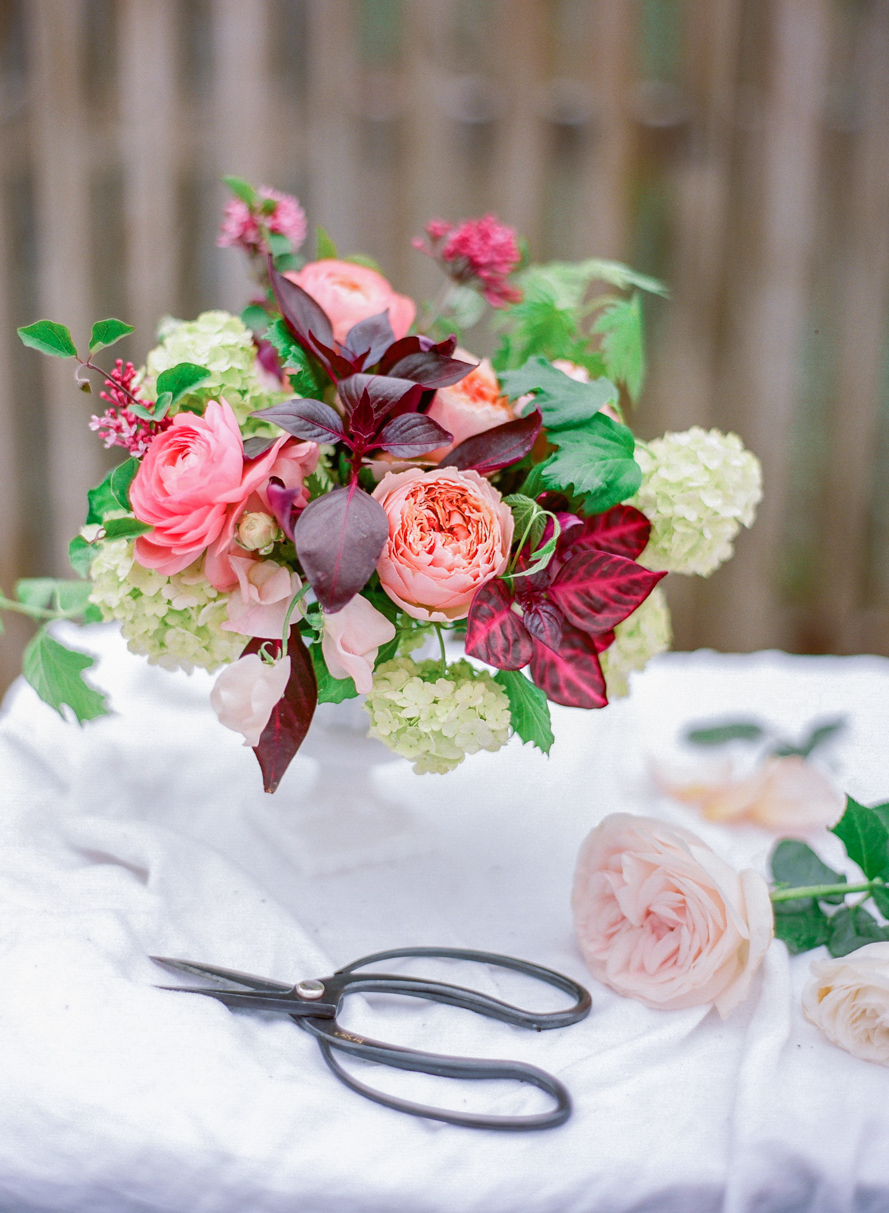 Shannon Von Eschen Photography Shannon Von Eschen Photography