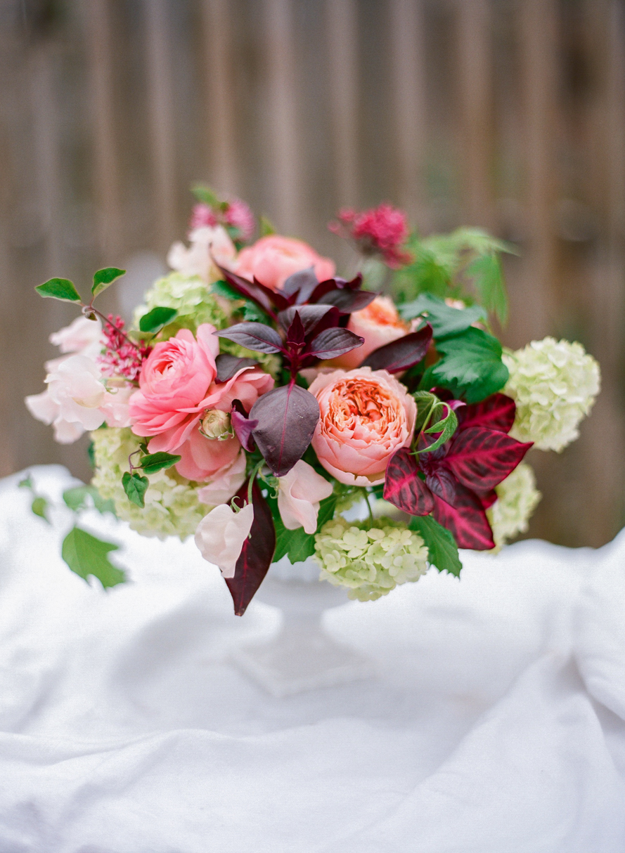 Shannon Von Eschen Photography Shannon Von Eschen Photography