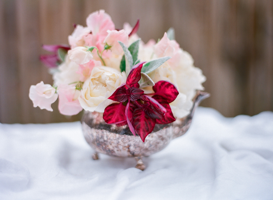 Shannon Von Eschen Photography Shannon Von Eschen Photography
