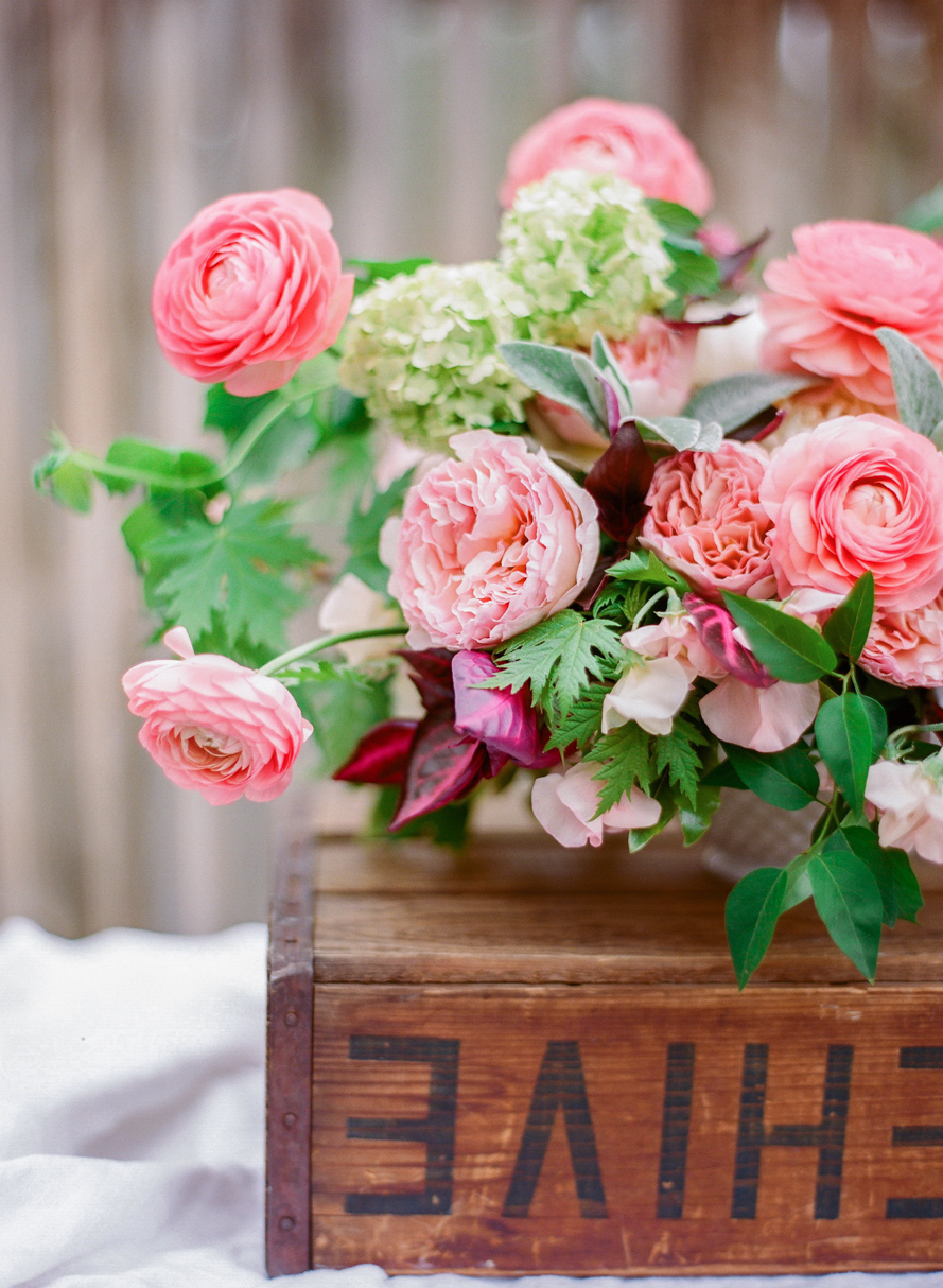 Shannon Von Eschen Photography Shannon Von Eschen Photography