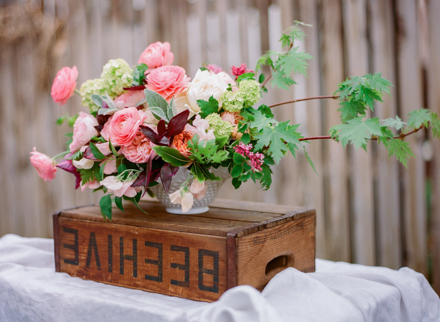 Shannon Von Eschen Photography Shannon Von Eschen Photography