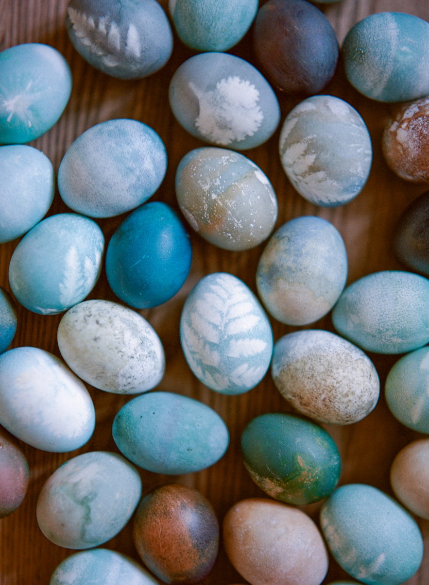 Botanical Eggs_ShannonVonEschen 45