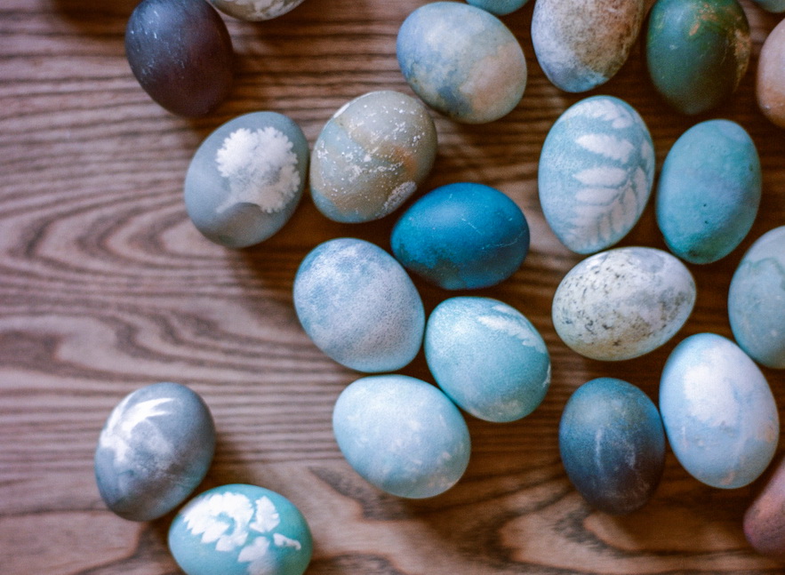 Botanical Eggs_ShannonVonEschen 46