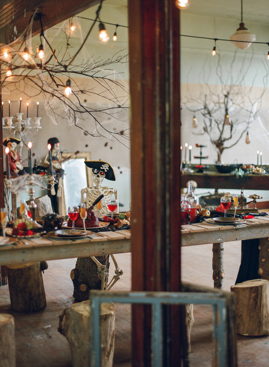 eli-pirate-party_shannon-von-eschen-blog-003