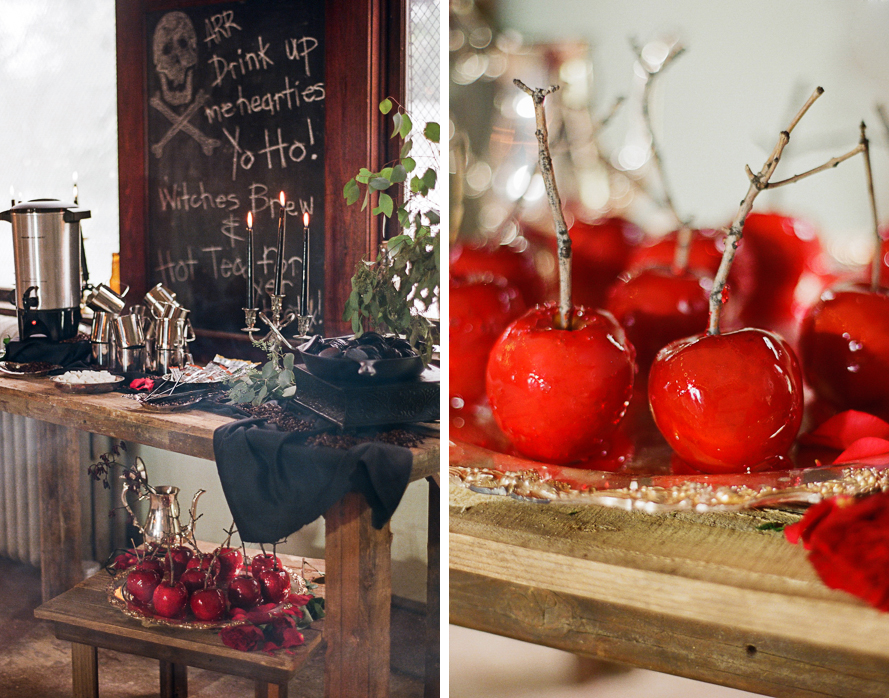 eli-pirate-party_shannon-von-eschen-blog-057