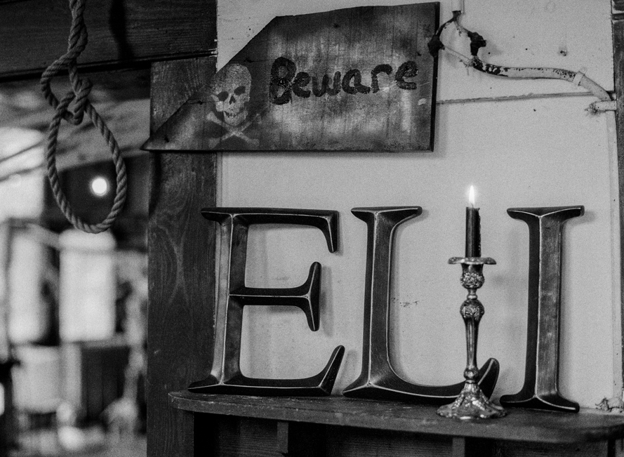 eli-pirate-party_shannon-von-eschen-blog-073